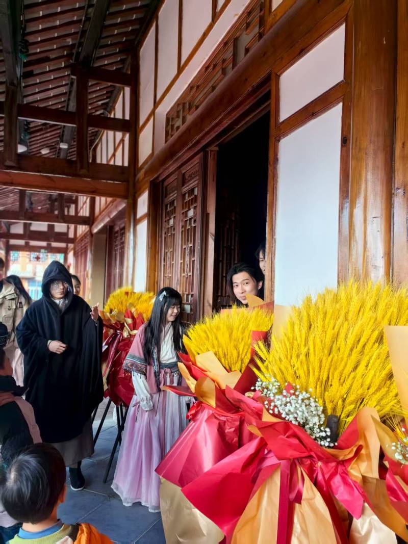 维西文旅策划公司